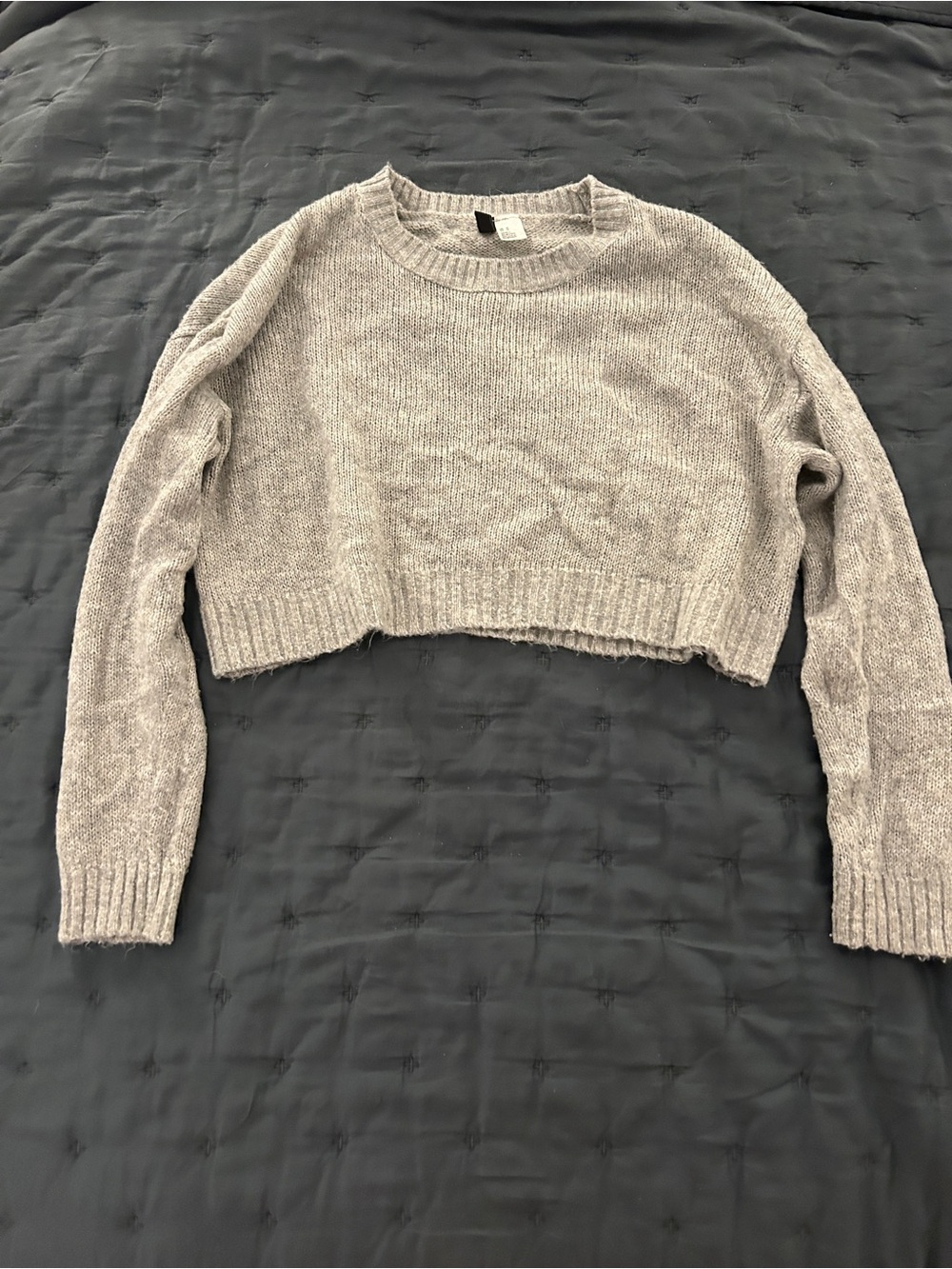 H&M Cropped Crewneck Sweater in Light Gray